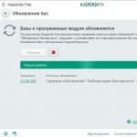 Kaspersky Yandex-Version